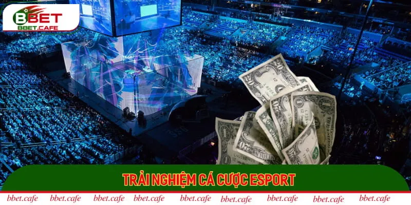 Trải nghiệm cá cược esport