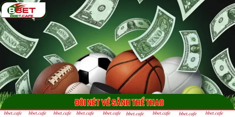 Đôi nét về sảnh thể thao