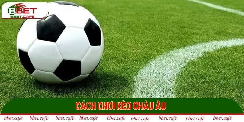 Hướng dẫn cách chơi kèo 1x2 tại Bbet