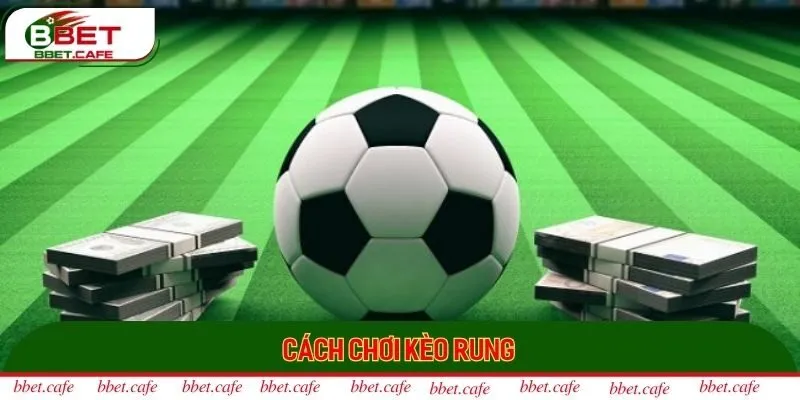 Cách chơi cược rung vô cùng đơn giản và quen thuộc với bet thủ